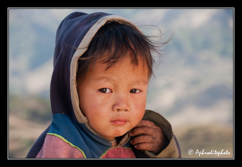 37 Hmong's portraits